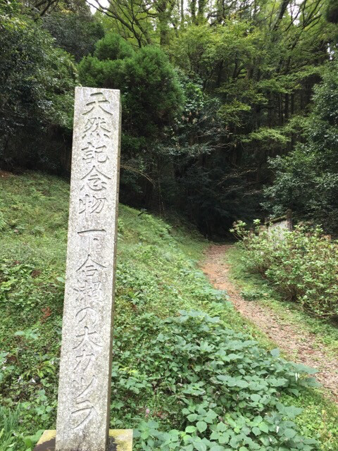 o0480064013781252704