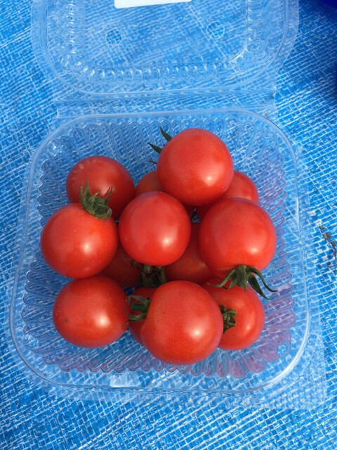 o0480064013781252736