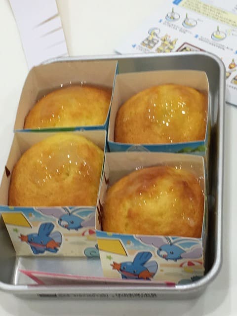 o0480064013689026749