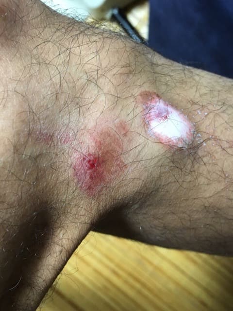 o0480064013712379007