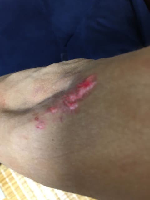 o0480064013712379038