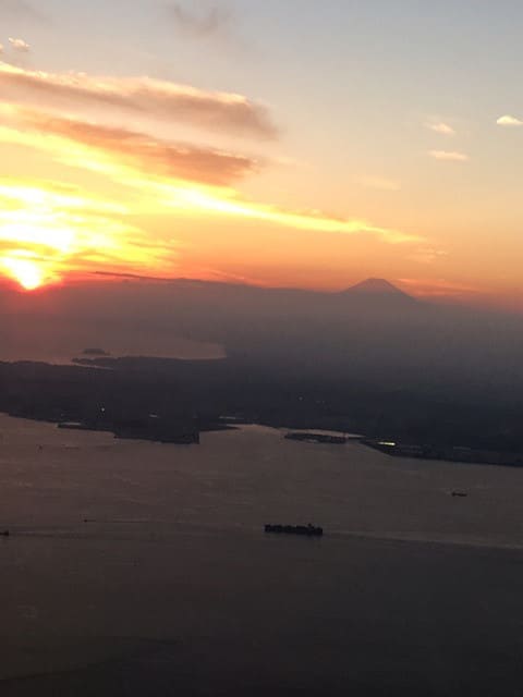 o0480064013773853551