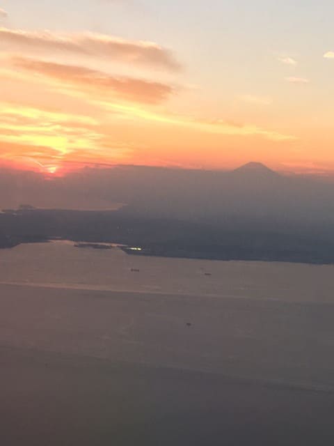 o0480064013773853562