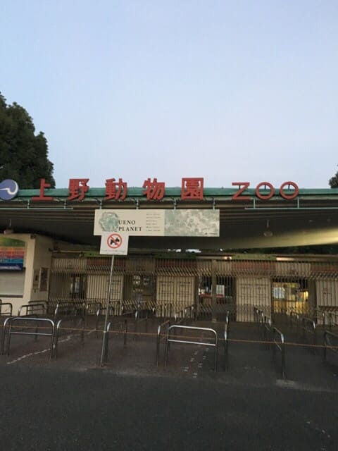 o0480064013775370984