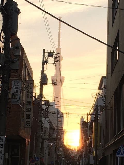 o0480064013775371043