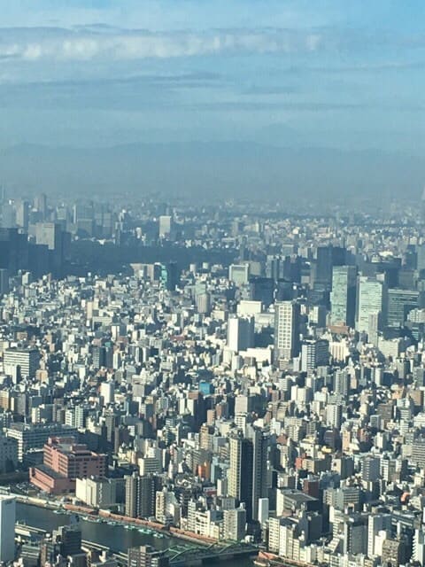 o0480064013775371123