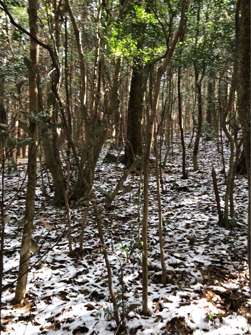 {FEB5CFC1-405B-456A-B2BD-1A6F4AE55AD3}